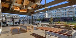 Martingale Gallery 32