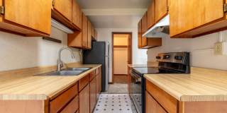 The Bayside Collection Gallery 33