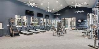 The Stockton Gallery 23