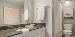 The Heights @Midtown Gallery 12