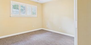 4409 Twisted Tree Dr Gallery 20