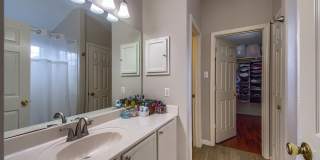 20515 Tree Meadows Gallery 9