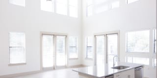 Magnolia off Henderson Gallery 4