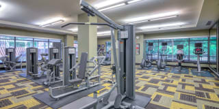 Parc Rosslyn Apartments Gallery 13