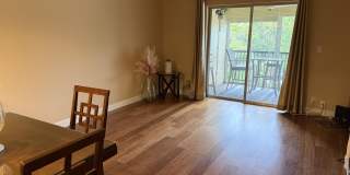 259 S Cypress Road Gallery 3