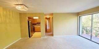 10303 45TH Place unit: 202 Gallery 3