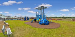 Grove Landing Gallery 25