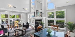 Hyde Park Gallery 18