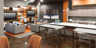 Tall Grass Village Gallery 5