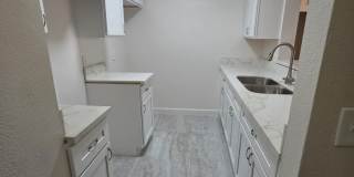 8616w Gallery 1