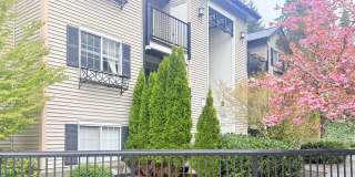 Gallery Condominiums - Downtown Kirkland Gallery 16