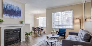 Addison at Cherry Creek Addison at Cherry Creek Gallery 1