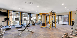 Maverick Gallery 165