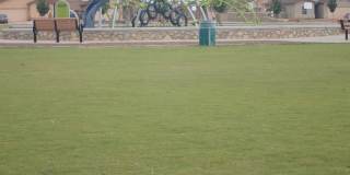 14661 GINGER KERRICK Gallery 25