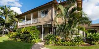 Coconut Plantation Gallery 1