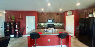 Beautiful 4-Bedroom Home for Rent in Wimauma, FL – Exceptional Value and Amenities Gallery 7