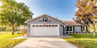 Kissimmee Charmer Gallery 1