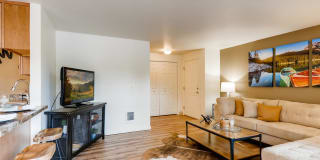 Sunnyside Village Gallery 3