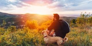 Glen Ridge Gallery 18