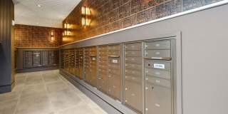 Madison West Elm Gallery 85