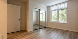 Queen Anne Collection Gallery 13