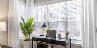 ARIUM Lenox Park Gallery 8