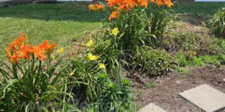 1804 Dalton Court Gallery 11