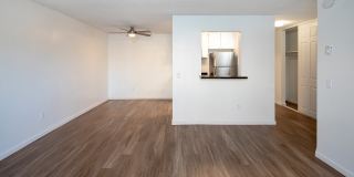 Volterra at La Mesa Gallery 31