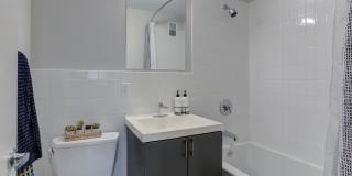 J VUE at the LMA Gallery 63