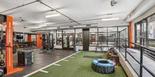 The Arnold Gallery 16