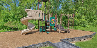 ReNew Woodland North and South Gallery 47