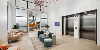 Banner Lane Gallery 50