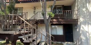 Spacious 2 Bed / 1 Bath Upstairs Condo in San Carlos – Utilities Included! Spacious 2 Bed / 1 Bath Upstairs Condo in San Carlos – Utilities Included! Gallery 3