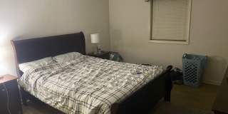 110 Botts Ave Gallery 9