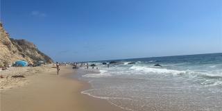 4013 Via Manzana Gallery 57