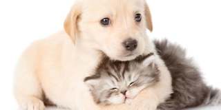 Enjoy the new appliances in this lovely single-family home located in the heart of Tacoma Gallery 50