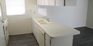Beautiful large 2 bedroom 2 bath in New Port Richey Beautiful large 2 bedroom 2 bath in New Port Richey Gallery 6