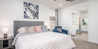 20580 N CONFETTI Court Gallery 25