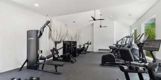 ReNew Woodland North and South Gallery 26