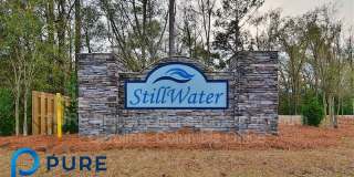 319 Gum Swamp Trail Gallery 51