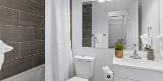 Legacy at Mayland Gallery 11