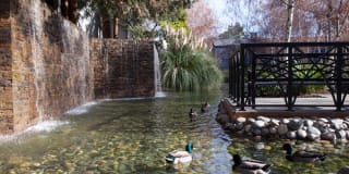 Shadowbrook Apartments Gallery 24