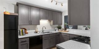 TGM Bull Run Gallery 4