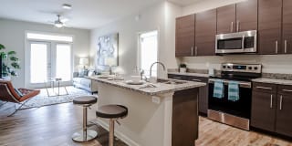 Willows at the University Gallery 1