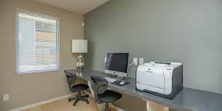 Wind Tree Gallery 12