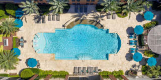 Forum on San Felipe Gallery 2