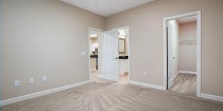 5167 Monterey Pine Lane Gallery 19