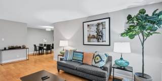 Crystal Plaza Apartments Gallery 41