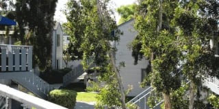 Parkway Village Gallery 10