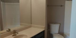 Durango 210 Gallery 6